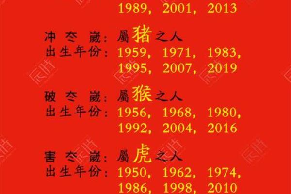 2025年属什么命？探秘属相与命理的奥秘