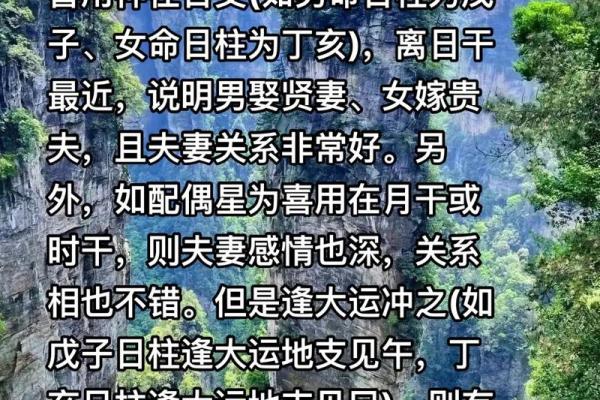 深入解析：男命财为妻，女命财为何？探索命理中的玄妙关系！