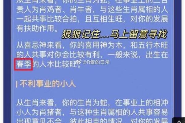 探秘沈命法：解读命法背后的智慧与奥秘