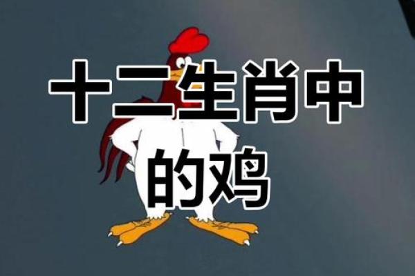 属鸡命理分析：看你缺什么，如何弥补？