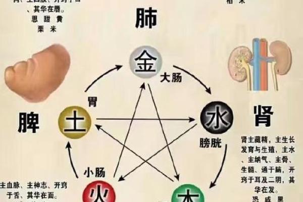 火命者同命相克的奥秘：不容忽视的相冲之苦