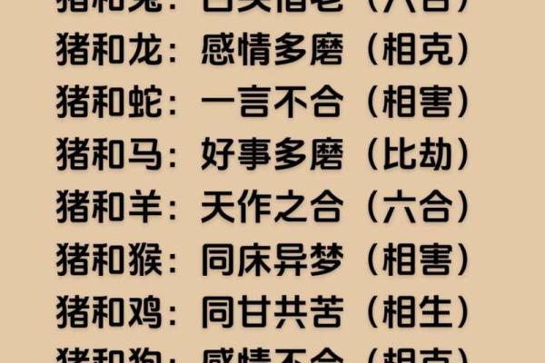 属猪的最佳命运：揭秘如何选择合适的生辰和生肖搭配！