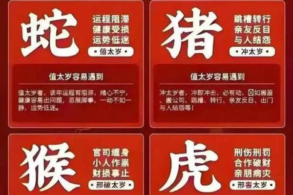 99年兔子属什么命？解密兔年人生命运与性格特点！