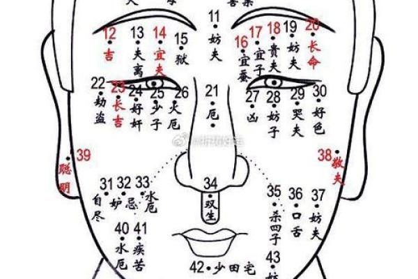 方形额头男人的命运与性格解析：你了解吗？