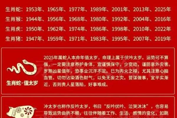 命与运：一命抵一命的深意与探讨