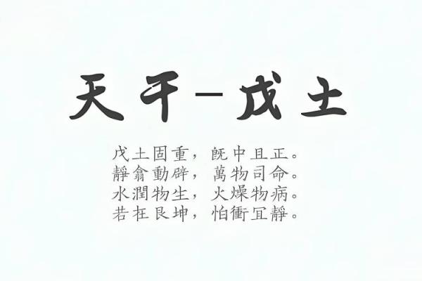 1996年牛年命理深析：其性格特征与发展方向