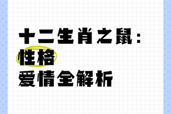 2020年小老鼠命运解析：勇敢追梦的生肖之旅