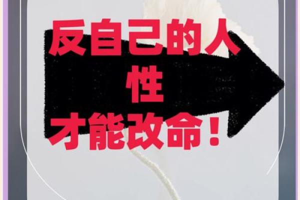 命运的桎梏：为何我不能去南方当官？