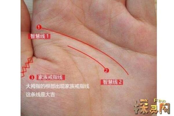 镜流六命与零命的精彩对比：命理学中的深刻启示