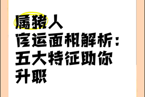 属猪腊月27出生的人命运解析与性格特点