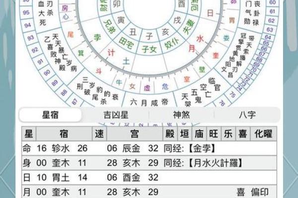 命盘解析：揭示你内心深处的秘密与未来的指引