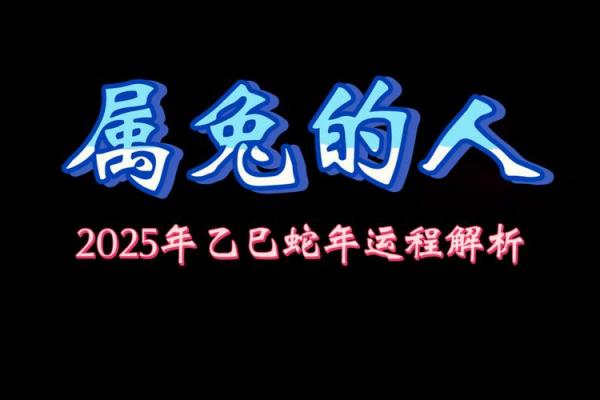 属兔1951年：命理解析与生活中的智慧