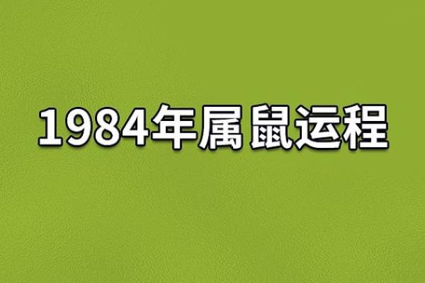 探索1984年正月出生者的命运与性格特征