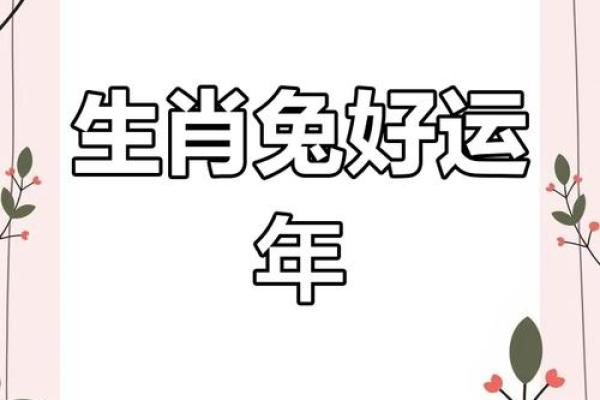 属兔子本年命带什么？探寻兔年吉祥物与运势的秘密！