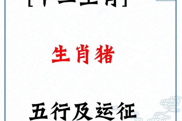 2019年出生宝宝命运解析：揭开生肖猪的神秘面纱