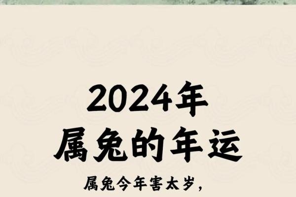 兔年29岁的人属什么命，探讨兔年出生的命运特征和性格分析