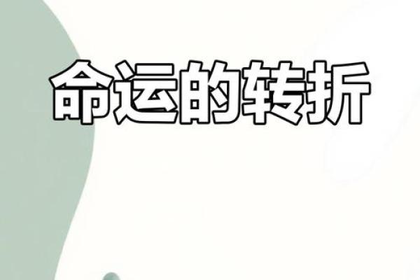 逆天娇女：落入权臣手中，命运的华丽转折