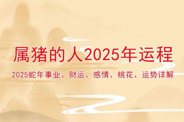 2019年猪年解析：生肖与命理的完美交织，揭示你的命运之路