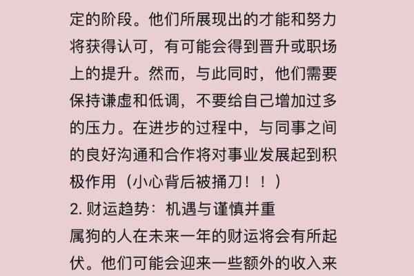 2019年狗年八字命理分析：狗年出生人的命运与性格揭秘