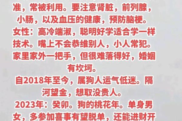 属狗70年的命运解析：揭开内心深处的秘密与智慧