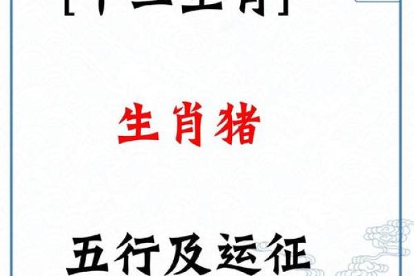 1959年出生属猪之人的命运解析与人生哲学