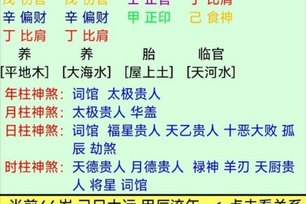 庚申戊子戊辰命解析：探秘八字中的生辰奥秘与命运启示