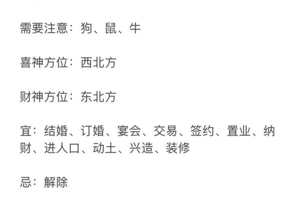 2008年出生的属兔人的命理分析与人生运势探讨