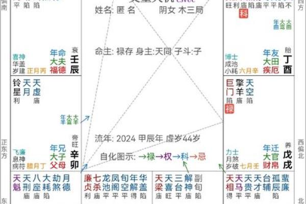 1994年出生的人命属性解析：揭示命运的秘密与人生的走向