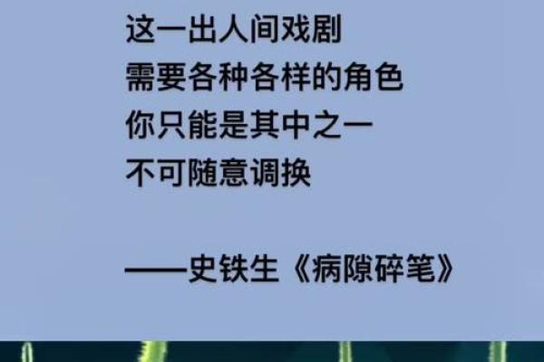 一九五五生人命运解析：探寻人生的机遇与挑战