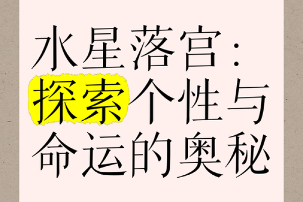 1981年出生的人：探索命运与生活的奥秘