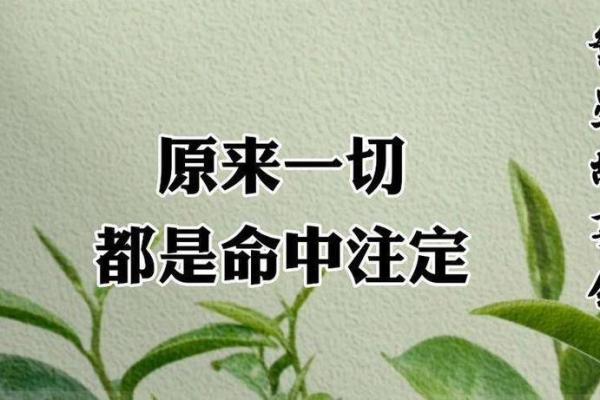 五曰考终命：探索命运与生活的深层联系