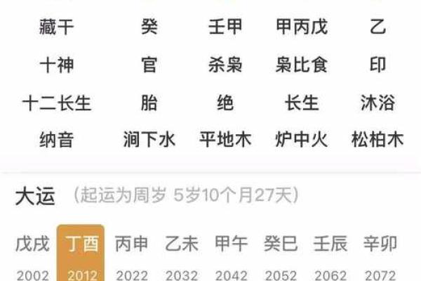 命理探究：丙寅、丙申、癸巳、甲寅的独特命格分析