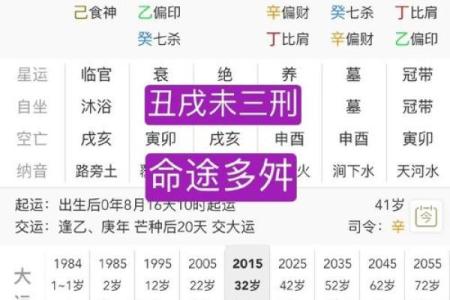 癸丑年出生者的命运解析：探寻生命的奥秘与希望