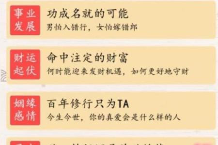 掌上查命运：揭示你命中注定的秘密与启示