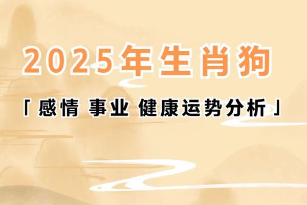 2003年出生的狗是什么命？解析生肖狗的命运与性格