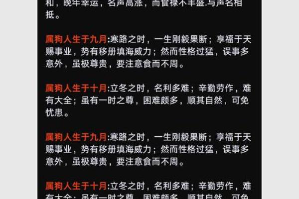 2003年出生的狗是什么命？解析生肖狗的命运与性格