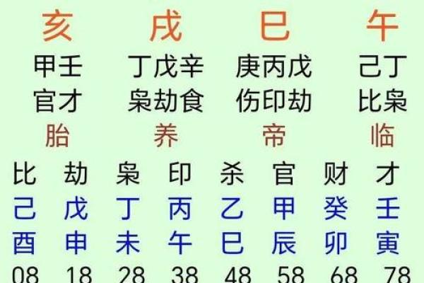 1959年的金命年：探寻命理与生活的奥秘