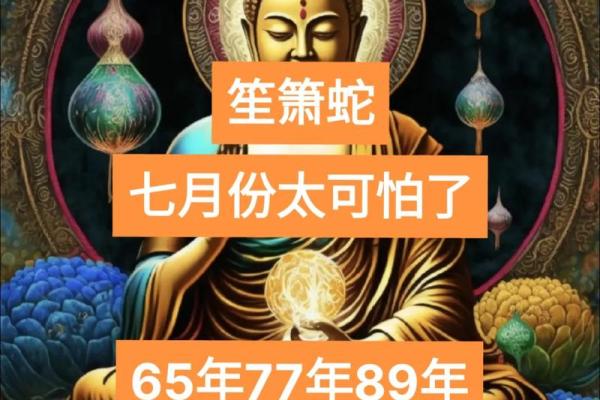 揭秘8月份属蛇人的命运与人生密码