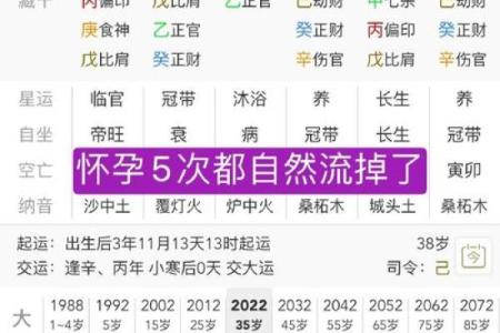 解析癸酉日女命无子命的深意：命理与人生的探索之旅