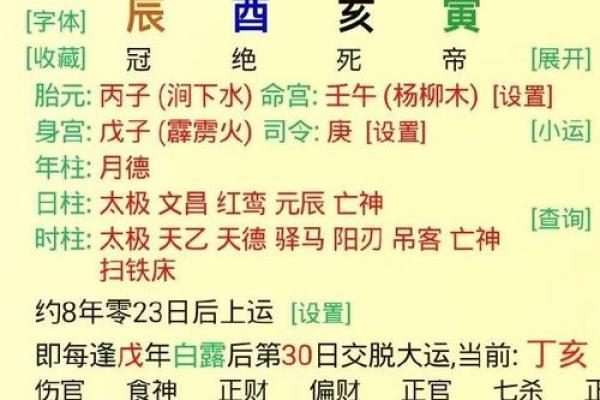 丙子年出生的命运解析：如何把握生活中的机遇与挑战