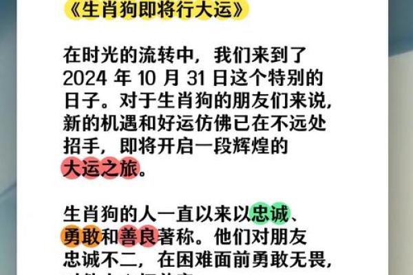 1970年出生男属狗的命运与性格解析