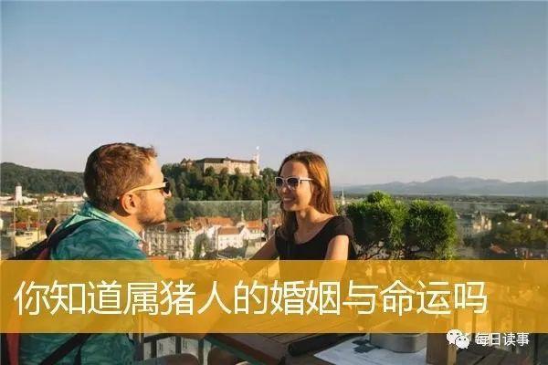 属猪人士结婚后的命运解析：幸福与挑战并存的生活之旅