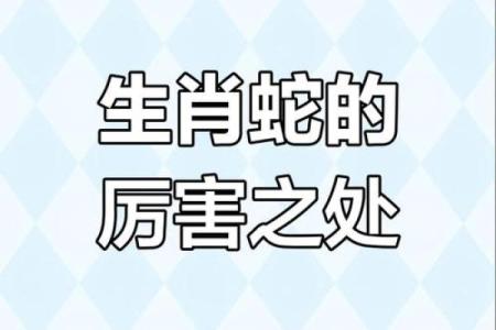 2013年属蛇人的命运与性格解析：寻找人生的真正方向与智慧