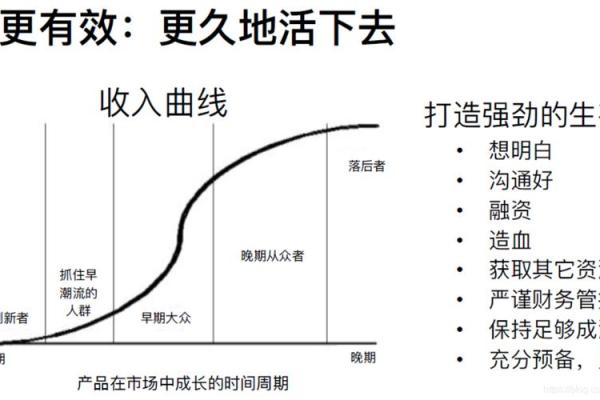 1995年出生者的命格解析：命运与机遇的交织之旅