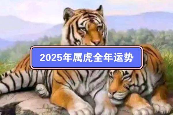 1998属虎：勇敢与智慧并存的命运之旅