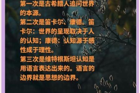 深入探讨：一命换三命背后的深意与哲理思考