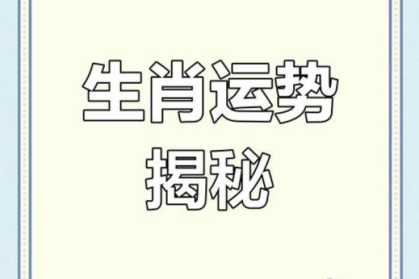 命格生肖解析：从属相看人生运势与发展方向