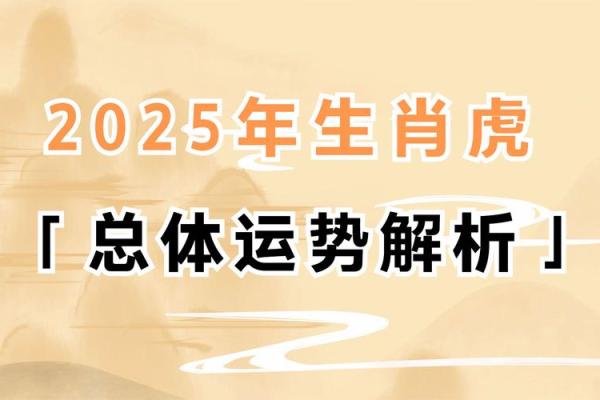 命格生肖解析：从属相看人生运势与发展方向