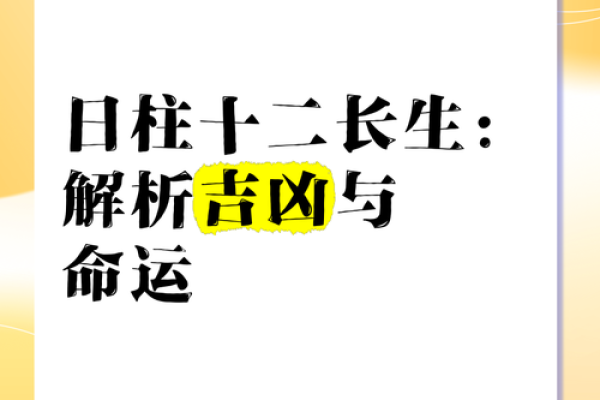 命理解析：何以窥探命运与人生的奥秘