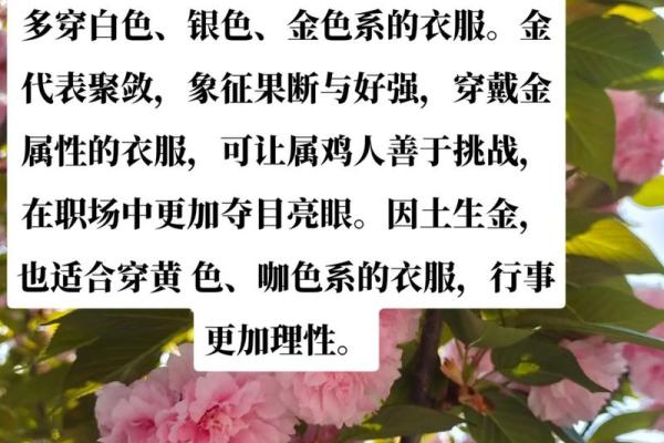 女命多金适合的颜色与个性魅力探寻